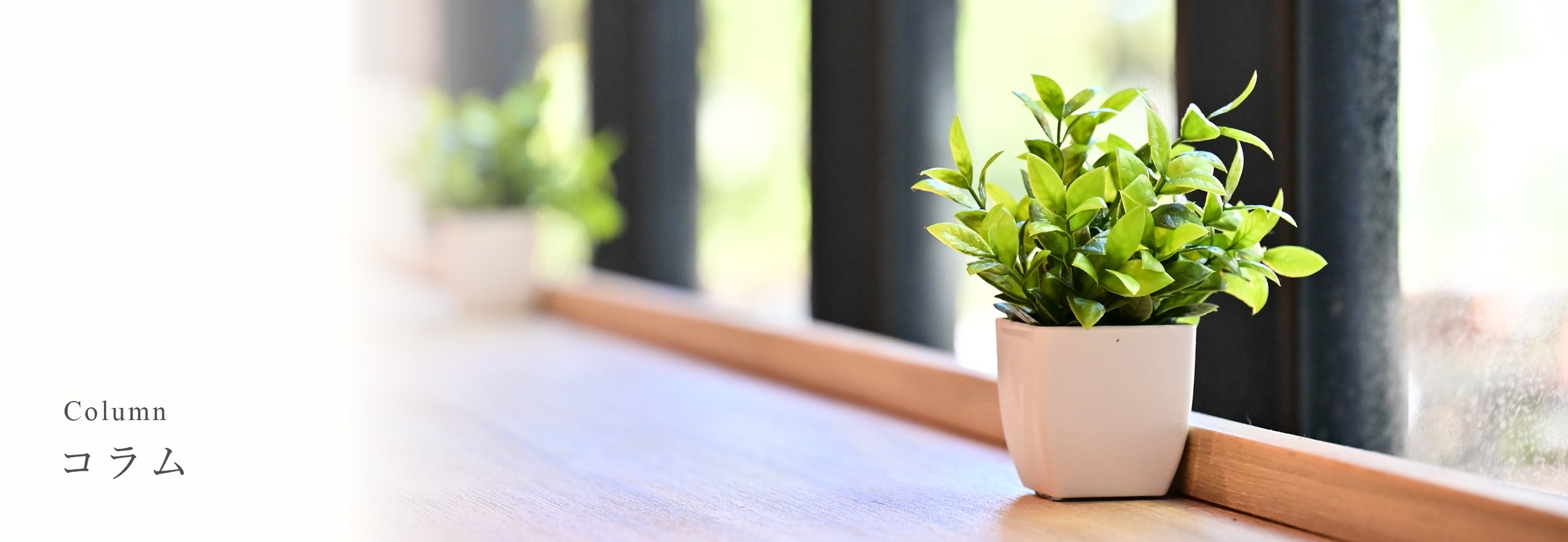 キービジュアル